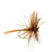 Hares Ear (GRHE)