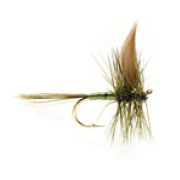 Large Dark Olive