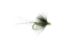Transitional Dun Blue Winged Olive