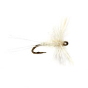 Midge Caenis