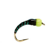 Buzzer Nugget Black & Green