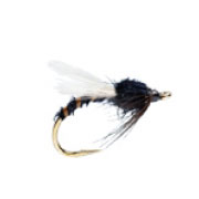 Black Adult Buzzer