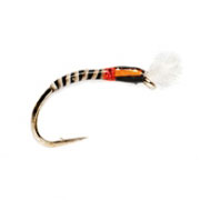 Buzzer (Quill) Black SH