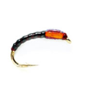 Buzzer Claret (BM)
