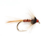 Nemo Holographic Red Cruncher