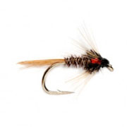Holographic Red Cruncher