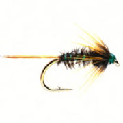 Nemo Holographic Green Cruncher
