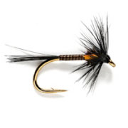 Black Traffic Light Cruncher