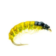 Czech Nymph Olive (SM)