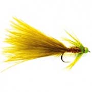 Green Hot Head Damsel
