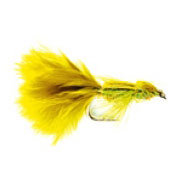 Glister Olive Damsel