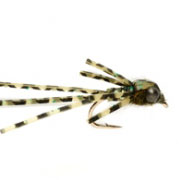 Sili Bug
