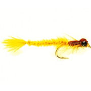 Living Damsel Gold Olive