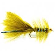 Blue Gold Damsel