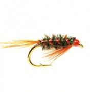 Hot Head Diawl Bach