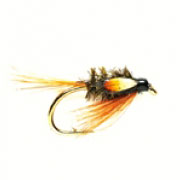 Special Diawl Bach