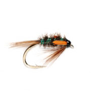 Green Holographic Diawl Bach