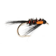 Black Diawl Bach