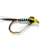 Crackton Nymph