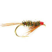Original Diawl Bach