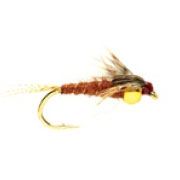 Mayfly Brown Gold