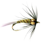 BlueWingedOlive Flymph Gld