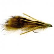 Pupa Roach Dragonfly