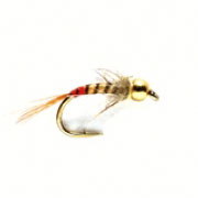 Grayling Special