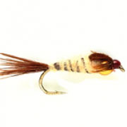 Mayfly Gold