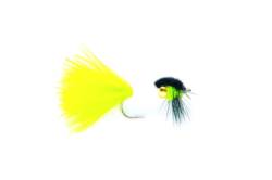 Nugget Cats Whisker Gold Montana