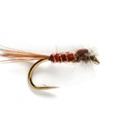 Muskins Rust