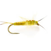 Barbless Yellow Sally Stone (OE)