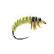 Barbless Ryacophila Larva (OE)