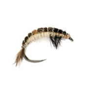 Barbless Hydropsyche Larva (OE)