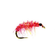 Pink Micro Shrimp