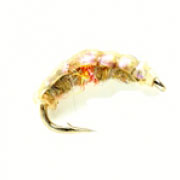 Pearl Shrimp