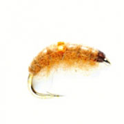 Tan Shrimp