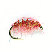 Mating Lite Brite Shrimp