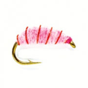 Pink Shrimp