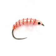 Barbless Dirty Pink Shrimp