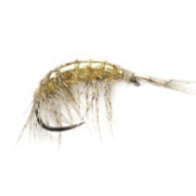 Barbless Freshwater Shrimp (OE)