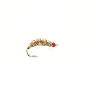 Killer Bug Shrimp