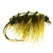 Flashback Shrimp