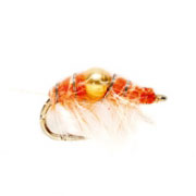 Nugget Orange Gold Shrimp