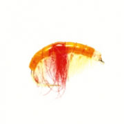 Hot Spot (AK) Shrimp