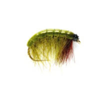 Bug Olive (AK) Shrimp