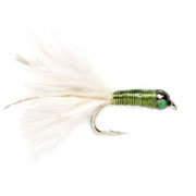 Lead Bug Chartreuse White