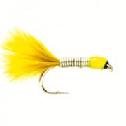 Fluo Green
