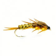Nugget Creaper Olive Gold