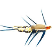 Nugget Stonefly Creeper Gold